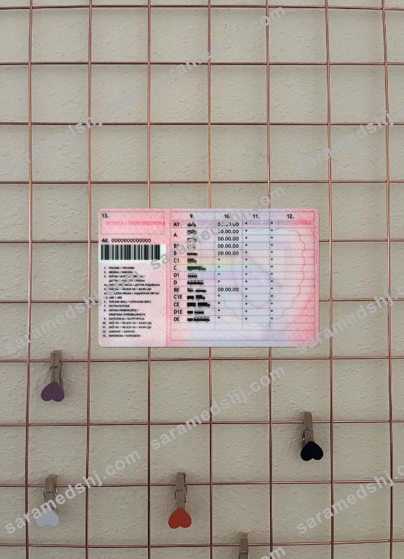 Bosnia and Herzegovina driving license version 2 photolook back